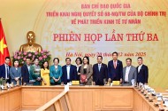 Hanel PT tham gia cùng Ban IV đề xuất tại phiên họp báo cáo kết quả thực hiện Nghị quyết 68-NQ/TW do Thủ tướng Phạm Minh Chính chủ trì